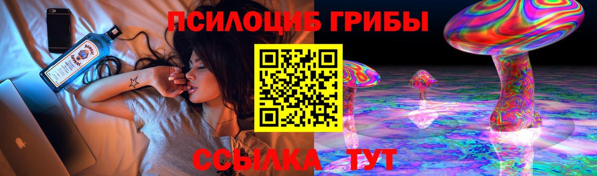 Галлюциногенные грибы MAGIC MUSHROOMS  Вход с VPN  Казань 