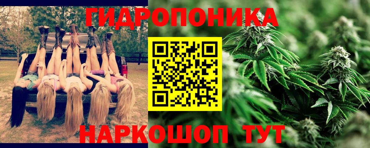 МАРИХУАНА THC 21%  Вход с VPN  Шишки марихуана SATIVA & INDICA  Казань  Марихуана Ganja 